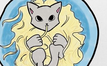 KittenCatNoodle Banner