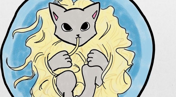 KittenCatNoodle Banner